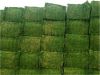 High Quality Alfalfa Hay