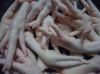 FROZEN CHICKEN FEET FOR SELL