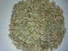 Hulled sunflower kernels for bakery and confection