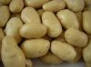 Fresh Potatoes from Ukraine