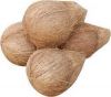 Fresh Indian Semi Husked Coconut