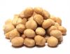 Best Quality Macadamia Nut