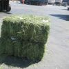 ALFALFA HAY- Good Grade