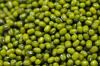 mung bean