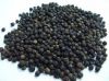 Natural Dried Black Pepper