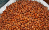 Raw Hazelnuts, Roasted Hazelnut in Bulk