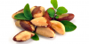 Brazil Nuts/Cashew Nuts/Apricot/Betel Nuts