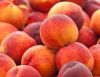 Fresh Peaches For Sale