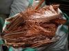 Copper Wire Scrap 99.9%/Millberry Copper Scrap