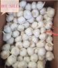 Good quality 2016 new fresh white garlic promotioin