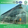 Stable Venlo Type Greenhouse Covered by Glass for Commercial Agricultural