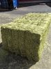 DEHYDRATED ALFALFA HAY VERY GREEN COLOR