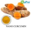 nano curcumin extract