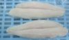 HIGH QUALITY PANGASIUS