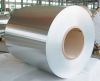 Stainless Steel Coil