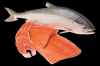 FROZEN MACKEREL FISH, SALMON FISH, ATLANTIC MACKEREL FISH