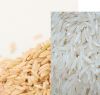 White/Brown Long Grain 25% Broken Rice