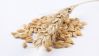 Natural Oat Seeds