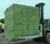 Quality Alfalfa Hay