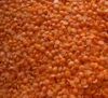 Whole Red Lentils for Sale