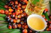 Crude and Refined Palm Oil