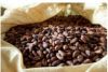 Dry Cocoa bean