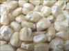 Non GMO White Maize