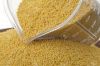 Top Quality Yellow millet