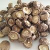 Dried Mushroom Shiitake