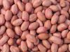 Natural groundnuts for sale