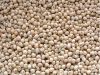 High-quality white cowpea seed