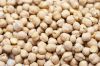 Kabuli chickpeas, garbanzo bean, pois chiche, chick peas, ceci