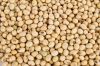 SOYBEANS FROM NIGERIA