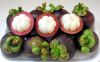 FRESH MAGOSTEEN/ FROZEN MANGOSTEEN