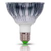 PAR38 Power LED Spot bulbs