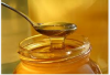 High Quality Organic Bee Honey