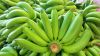 fresh   Cavendish  banana