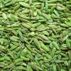 Fennel Seeds