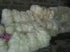 UG Grade And USSG Grade Sisal Fiber For Export