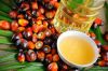 BEST QUALITY PALM OIL FOR SALE