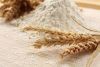 TYPE 650 WHEAT FLOUR