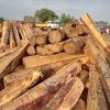 Kosso wood and pine wood