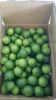 Good fresh seedless lime with very cheap price now