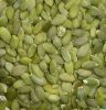 Pumpkin Seeds Kernel