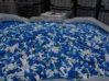 HDPE blue drum baled scrap