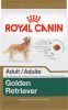 Royal Canin Fit 32 Dry Cats Foods