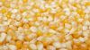QUALITY  YELLOW  CORN  FOR  SALE