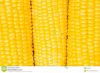 yellow corn powder, corn oil, corn meal etc