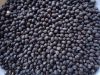 Black Matpe Whole Black Matpe Black Matpe Beans Split Matpe Split Matpe