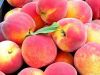 Fresh Peaches